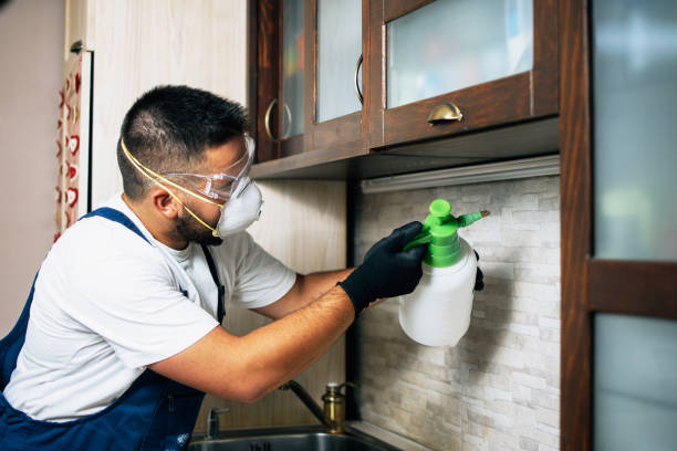 Best Wasp Removal Services  in Seabrook Island, SC