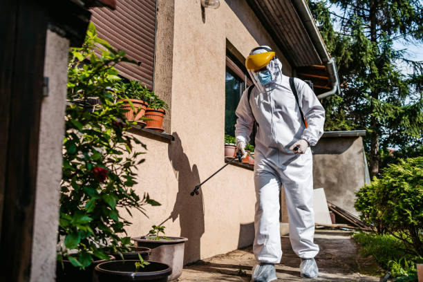 Best Pest Removal Services  in Seabrook Island, SC