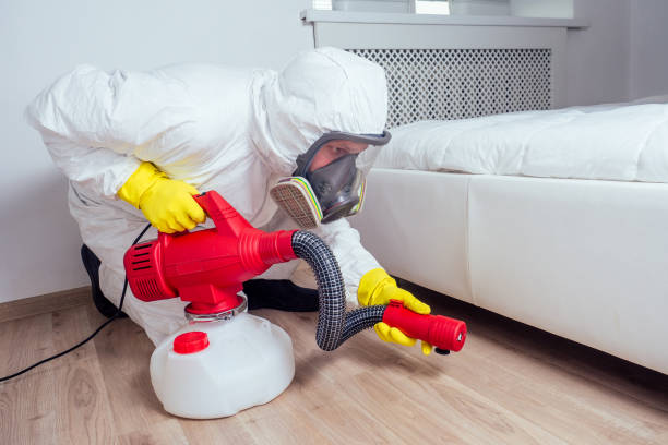 Best Affordable Pest Control Services  in Seabrook Island, SC
