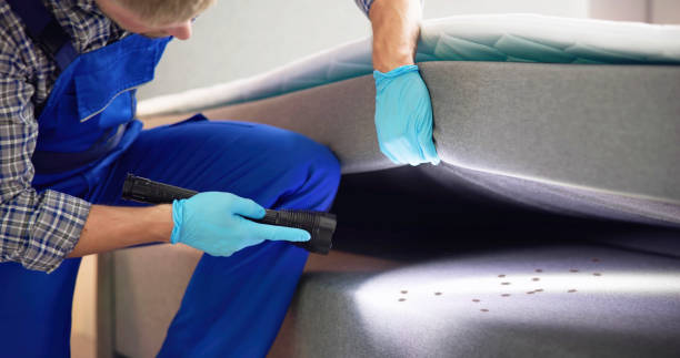 Best Best Pest Control Companies  in Seabrook Island, SC