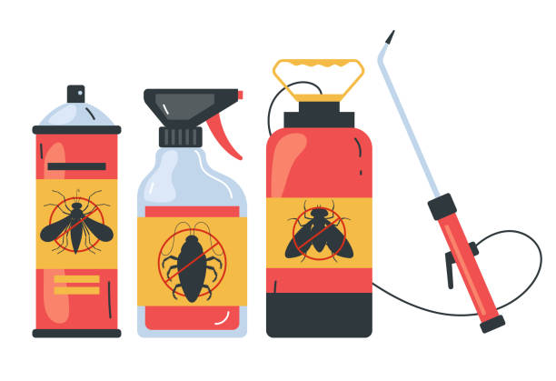 Wasp Removal Services in Seabrook Island, SC