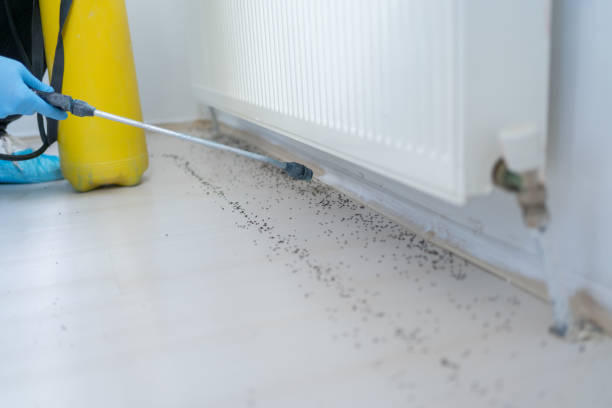 Seabrook Island, SC Pest Control Company